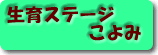 Xe[WE
